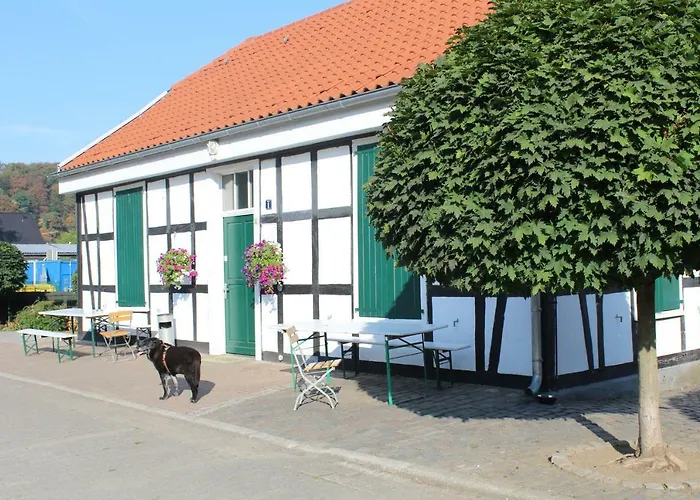 Grüner Blick