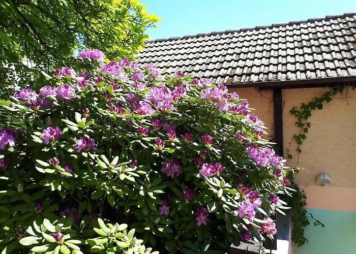 Rottgarten
