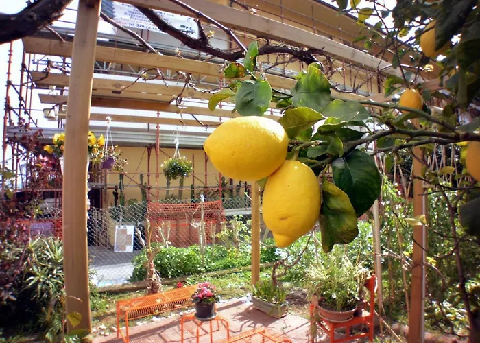 Dianostellamarina