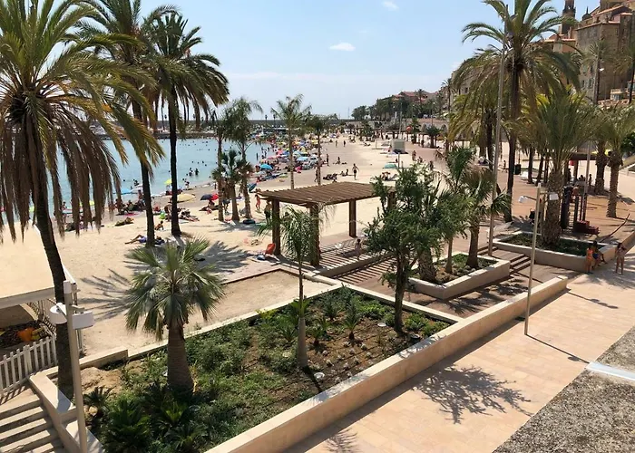 Etoile De Mer
