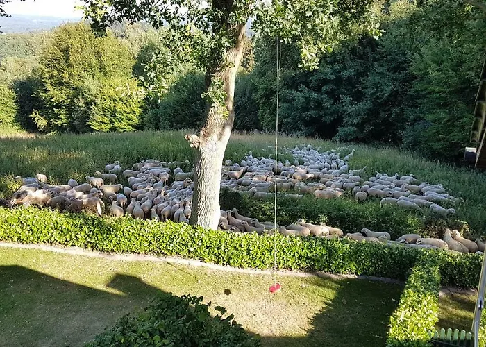 Ferienwohnung Tecklenburger Augenblicke