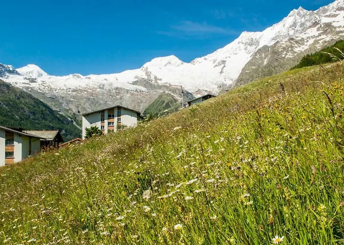 Haus Belle-Vue