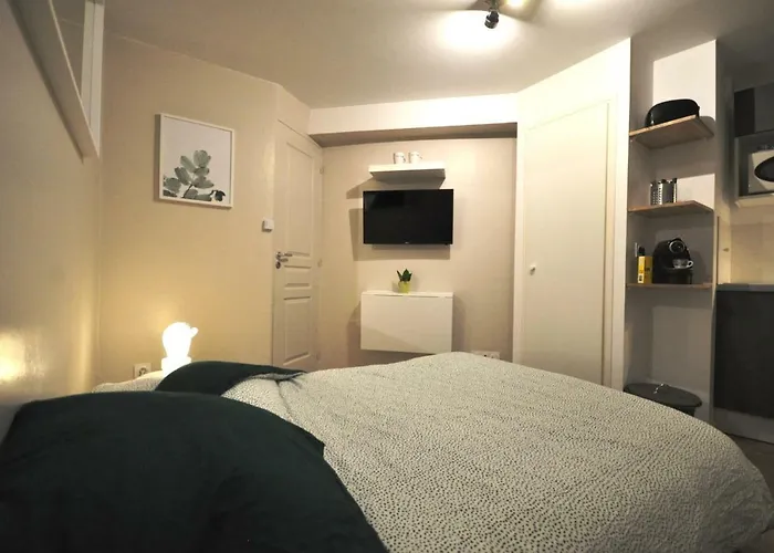 Studio Tiny Et Cosy Quartier St Etienne