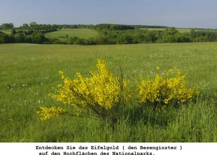 Ferienwohnung Gross B