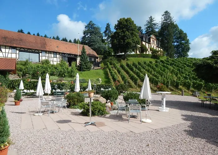 Wein Lodge Durbach - Schlossblick