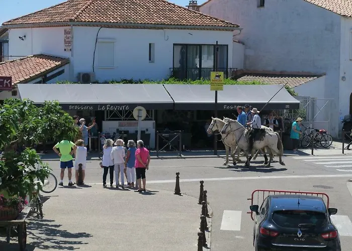 Appartement Camargue