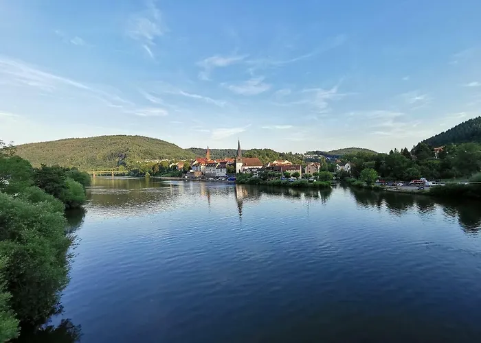 Ferienwohnungen Flussufer - Neckargemünd Altstadt