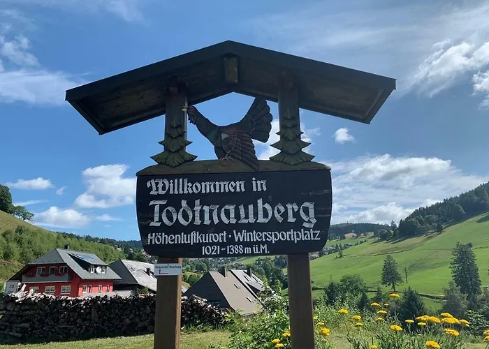 Haus am Sonnenberg,Todtnauberg, Ferienwohnung 105, direkt am Skilift-Skipiste, Nähe Feldberg