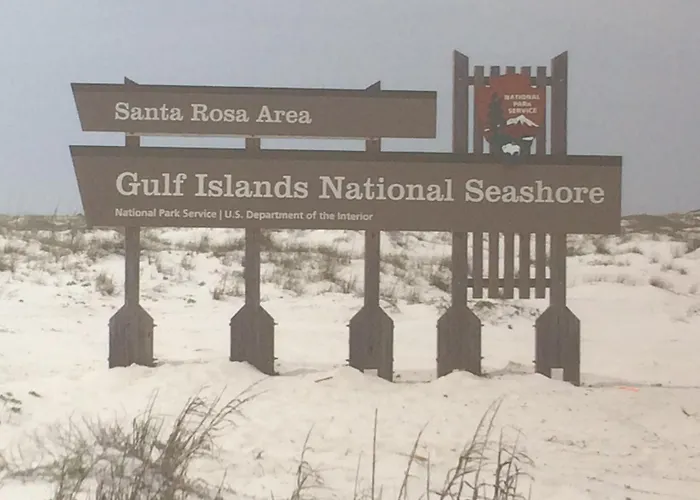 Sunset Harbor Palms 1-205 Great Fall And Winter Rates, Fishing Pier