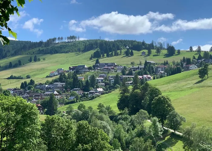 Haus am Sonnenberg,Todtnauberg, Ferienwohnung 305, direkt am Skilift-Skipiste, Nähe Feldberg