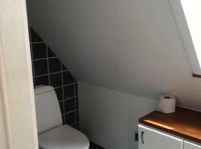 Ro I Skoven - Men Taet Pa Byen