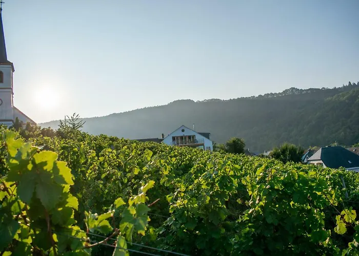Weingut Johanneshof