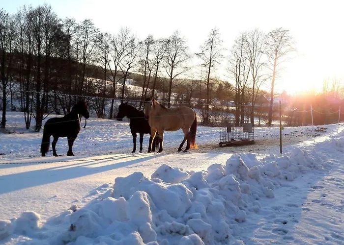 Ferienwohung mit Blick auf die Pferdekoppel