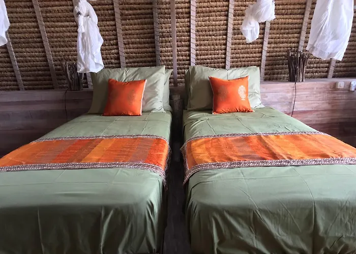 Alam Karang