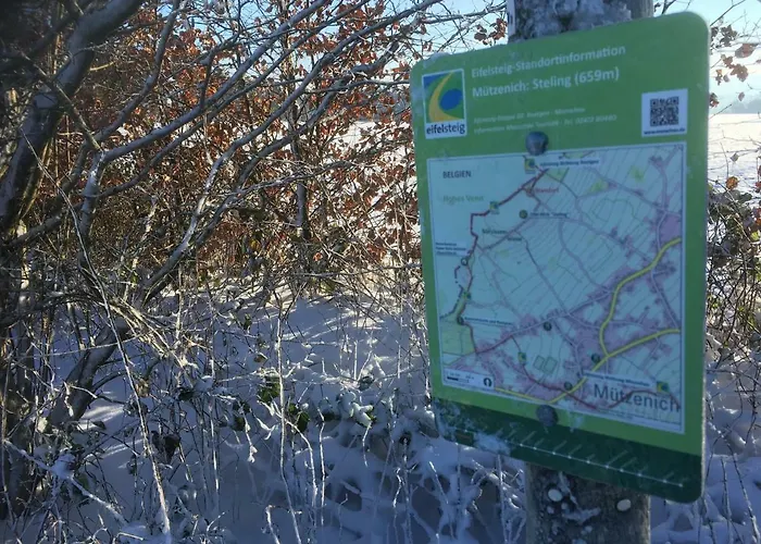 Rudis
