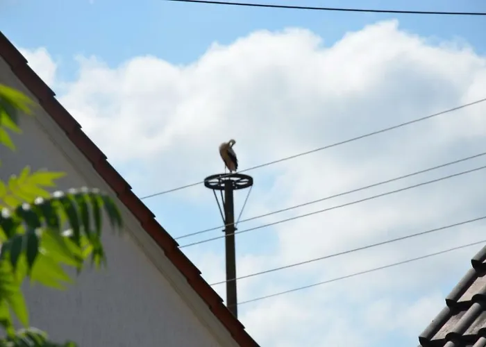Storchennest an der Spree in Radinkendorf