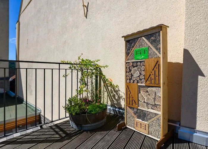 FeWo Kabine 21 / Zentral / Terrasse / Seilbahn Blick