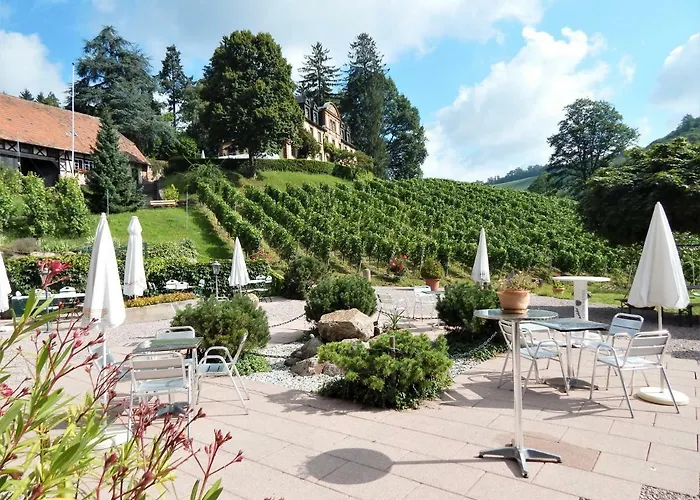 Wein Lodge Durbach - Schlossblick