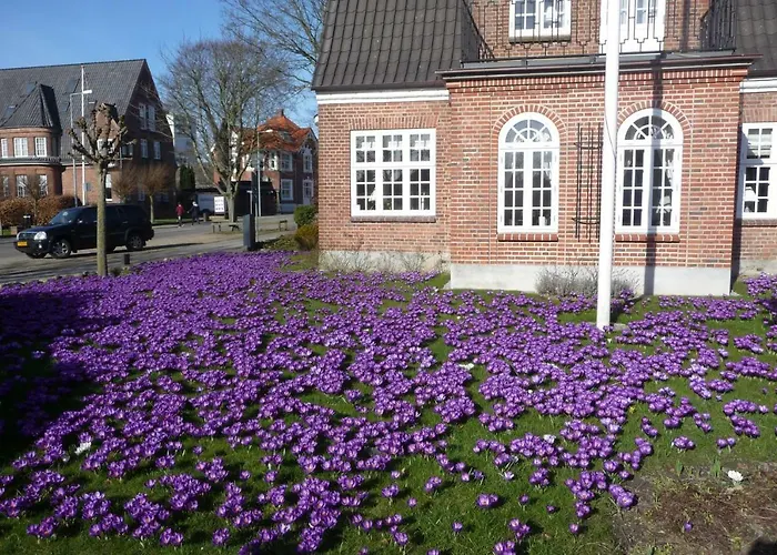 Stor Lejlighed Midt I Sonderborg By.
