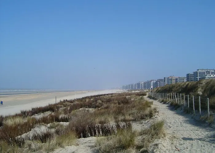 Calidris De Panne