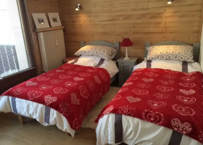 Luxury Apartment, 350M To Ski Lift, South Facing, Close To Town Centre