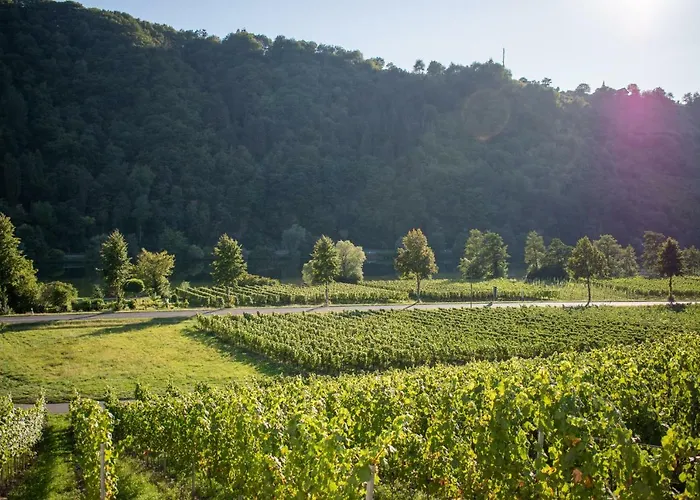Weingut Johanneshof