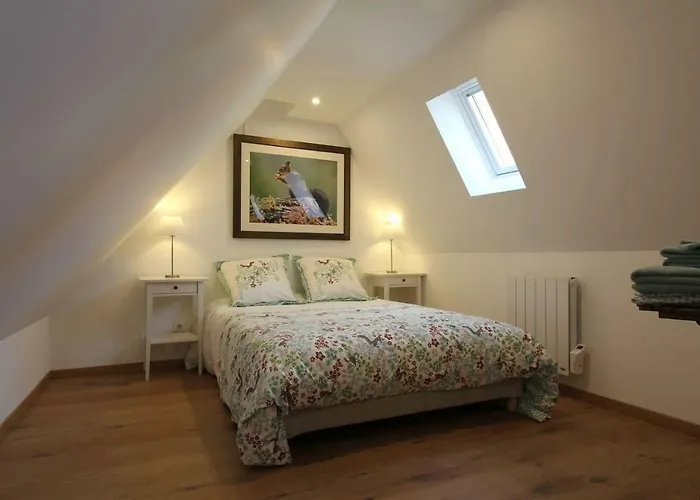 Chambre Chez L'Habitant - L Ecureuil - Coeur De Riquewihr - 2 Personnes