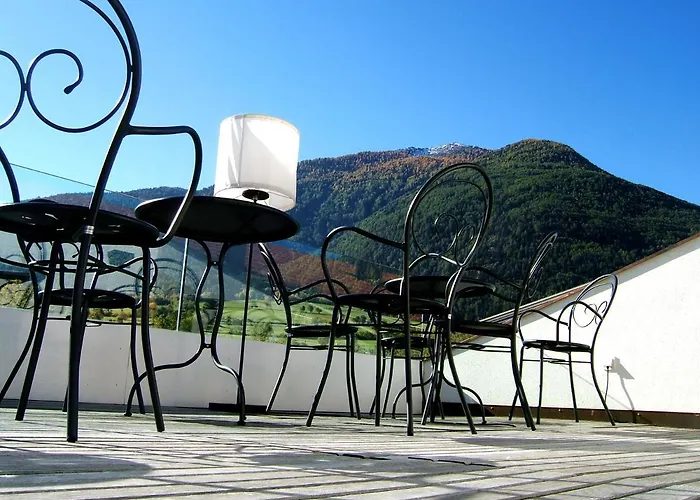 Hotel Gasthof Grüner Baum