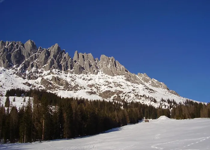 Appartementhaus Hochkönig 1 - Alpenrose