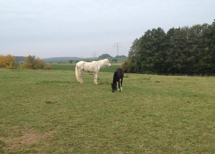 Pferd