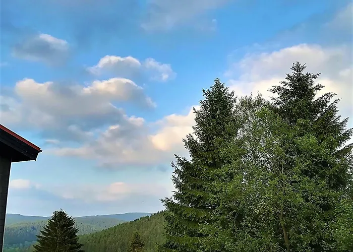 Harz-See-Lodge