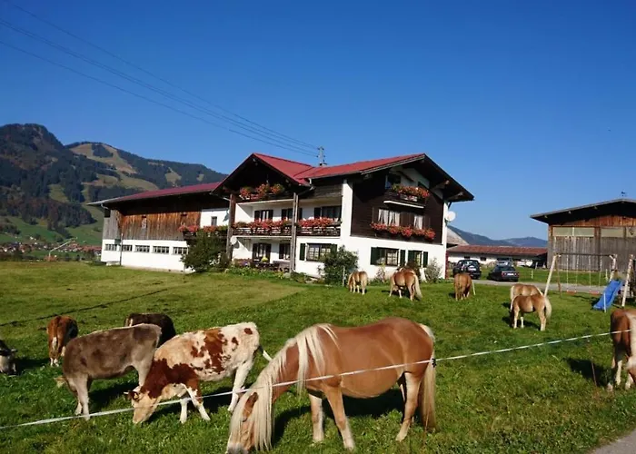 Haflinger Hof