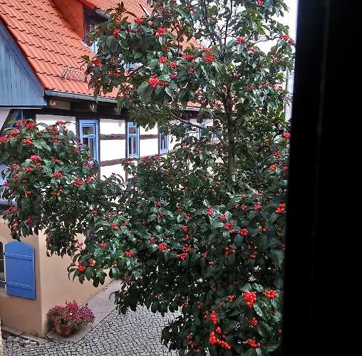 Ferienhaus Nicolaus