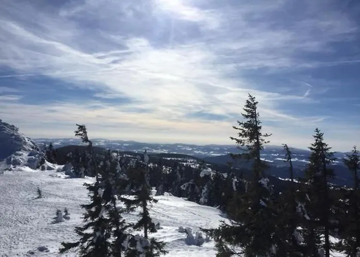 Schweizer Häusl
