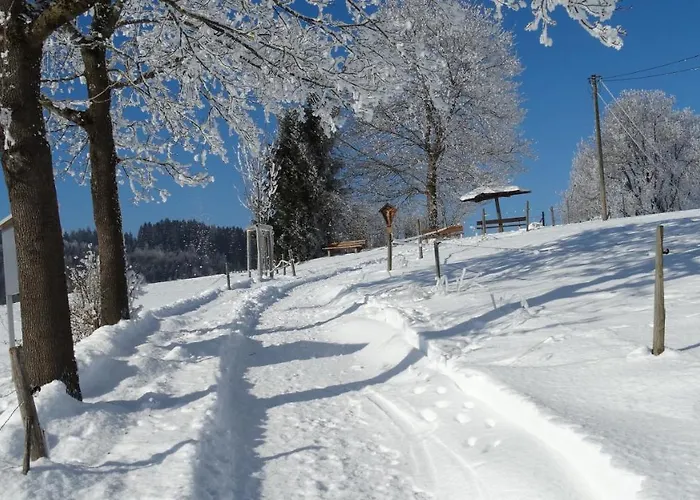 Ferienwohnung Alpenstern