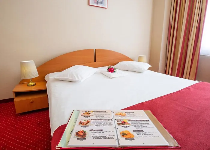 Hotel Dana