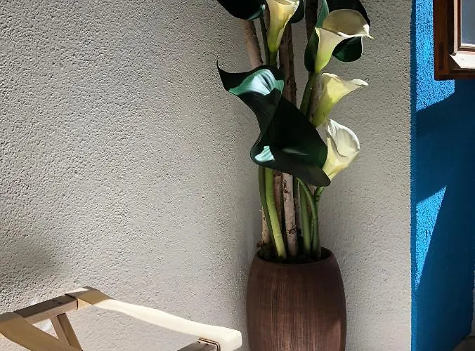 La Polena Camere Vernazza - Visconti Apartment