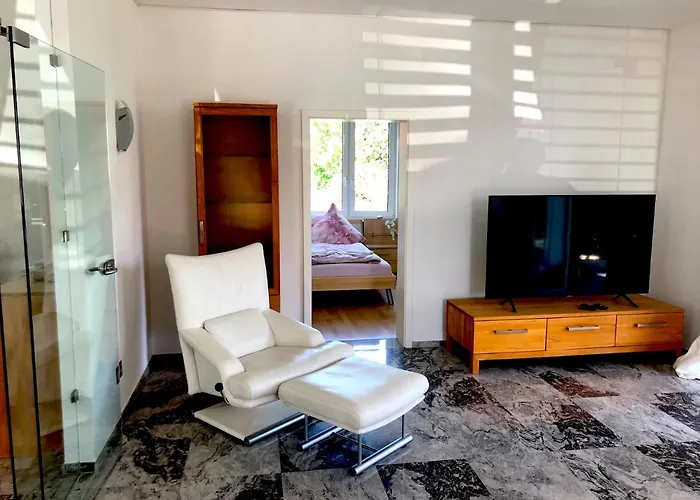 Dreamapartment La Vigna Living mit eigenem Aussenpool&Sauna - Weil am Rhein